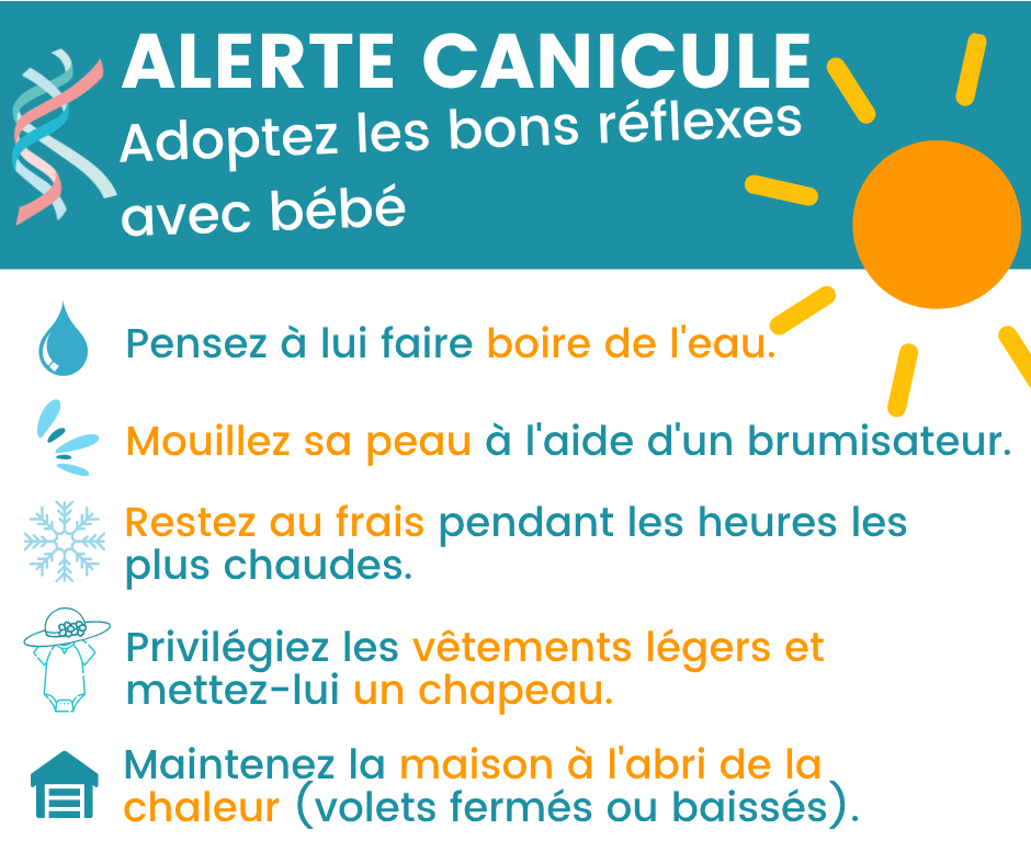canicule-les-bons-reflexes-bebe canicule-les-bons-reflexes-bebe