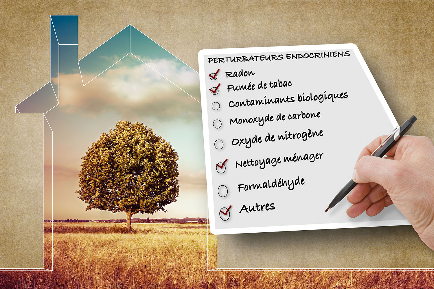 Maison saine - Bébé sain